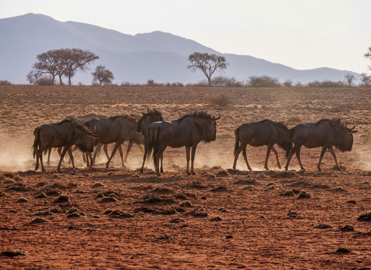 A guest relaxing on a lodge deck made of local stone and thatch overlooking Laikipia plains