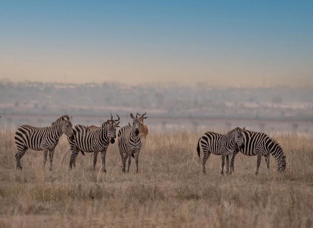 Wide shot of the Maasai Mara plains at golden hour with an electric safari vehicle in the distance near a river crossing