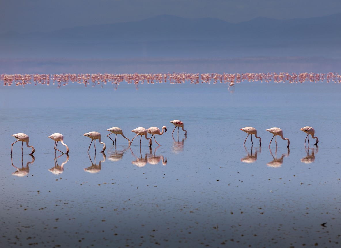 Lake Nakuru National Park