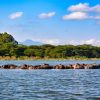 A boat of safari tourists watching a pod of hippos at Hippo Point on Lake Naivasha at sunset