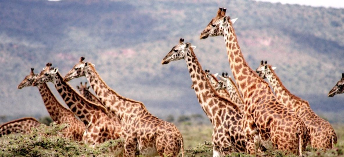 Kenya