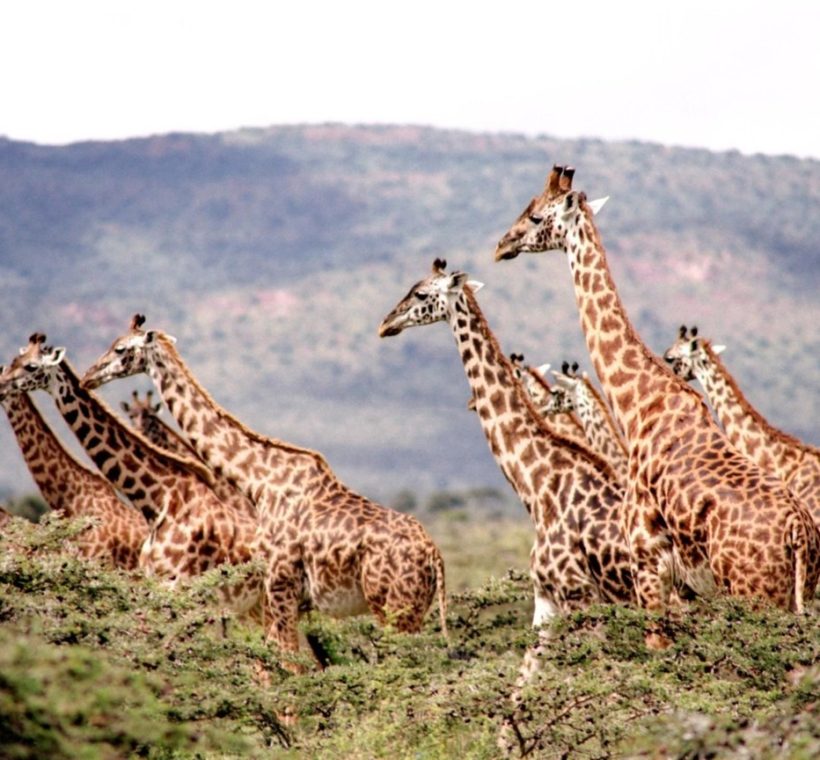 Kenya