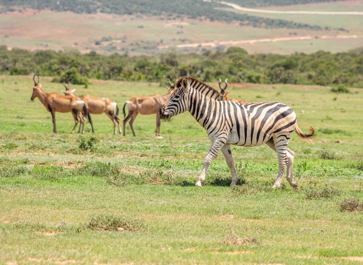Kenya