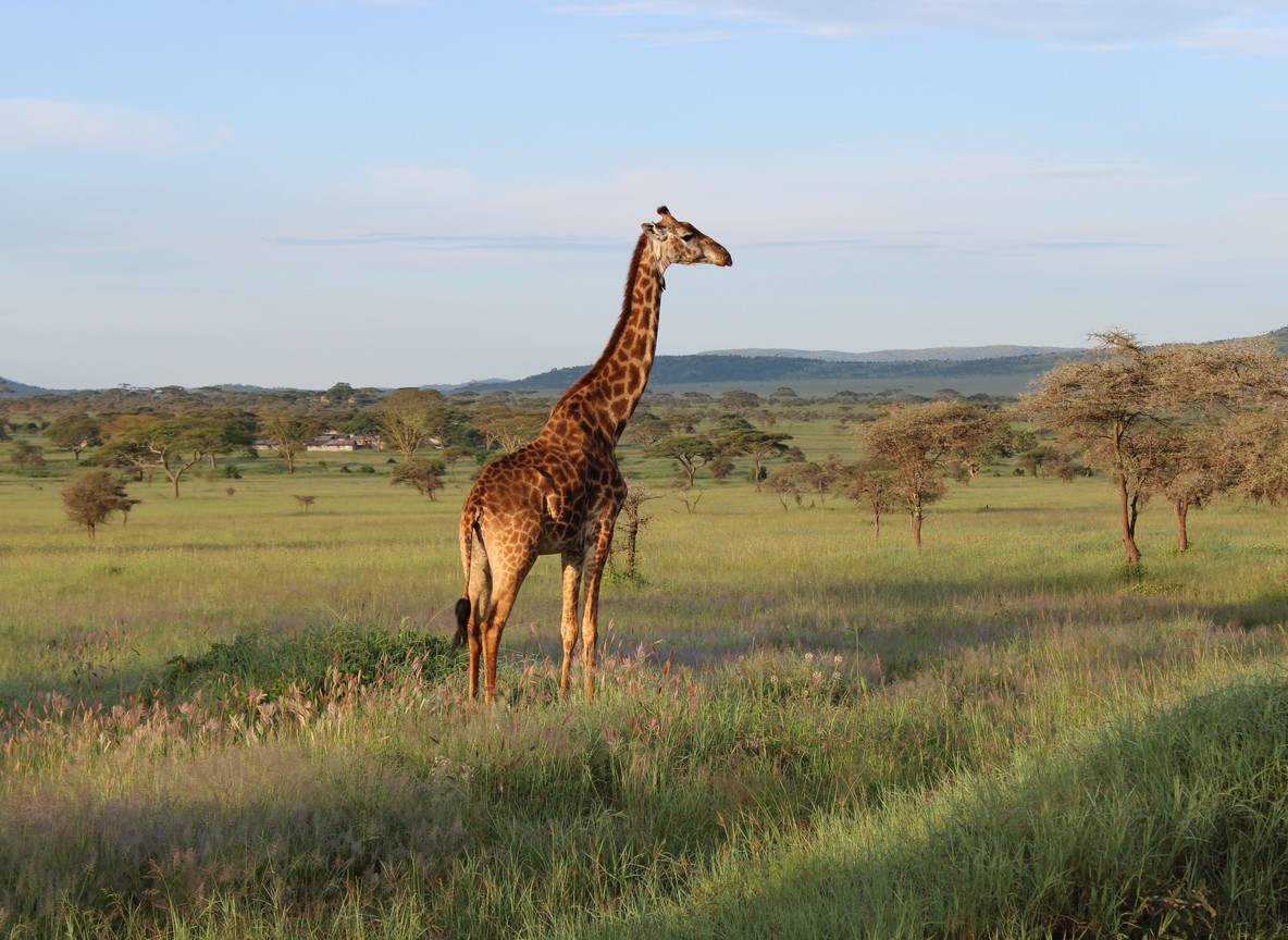 Laikipia, Kenya