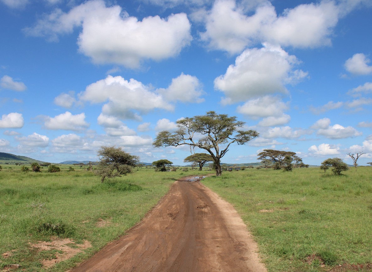 Kenya