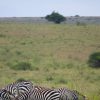 Mount Kenya visible on the horizon