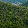 Aerial view of dense rainforest canopy in Kakamega Forest, Kenya's only tropical rainforest