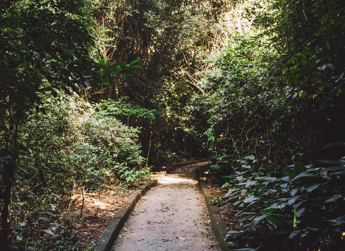 framed by green riverine vegetation