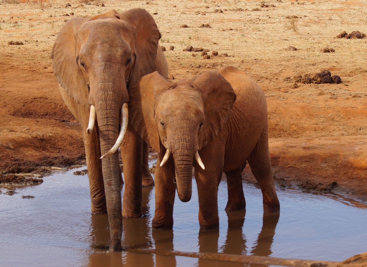 Galana River flowing through rocky Tsavo East landscape near the Kasigau wildlife corridor