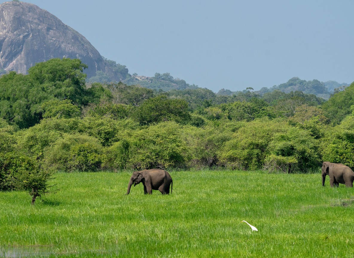 A Maasai community member and a Kenya Wildlife Service ranger inspecting a fenced wildlife water point near a conservancy boundary