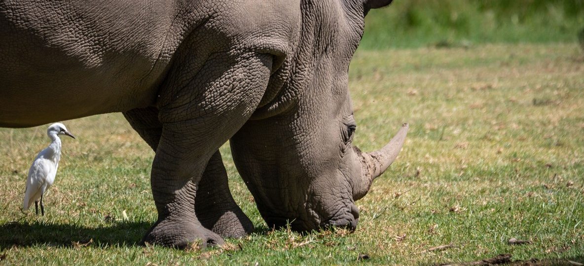 Kenya