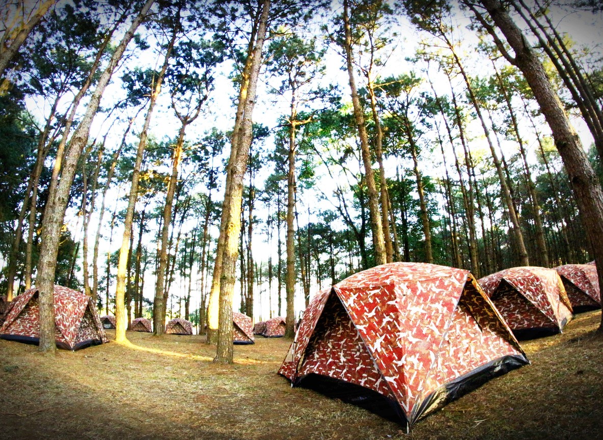Travelers setting up a tent at a budget public campsite near a Kenya national park gate