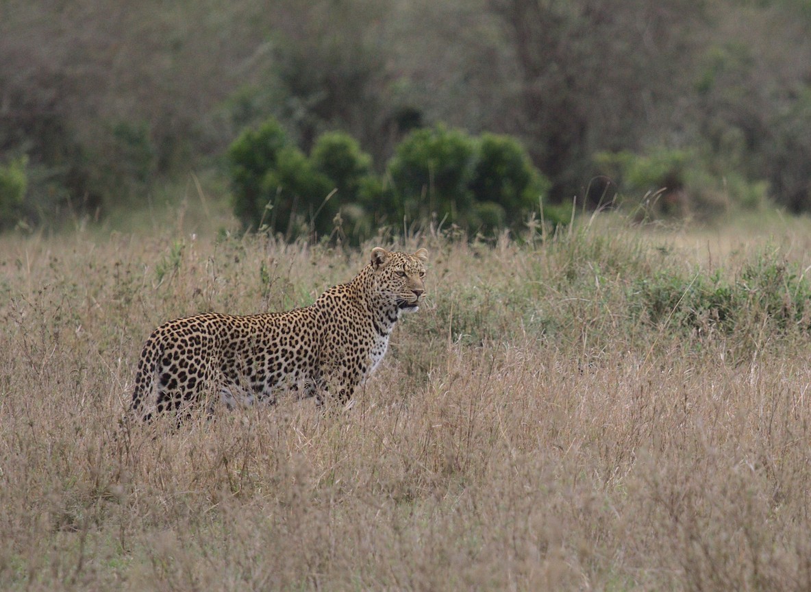 Rangers checking permits with visitors at a Kenya national park entrance gate