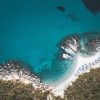 A wooden dhow boat gliding over turquoise water near coral reefs with a pod of dolphins surfacing nearby, Wasini Island coastline in the background at golden morning light