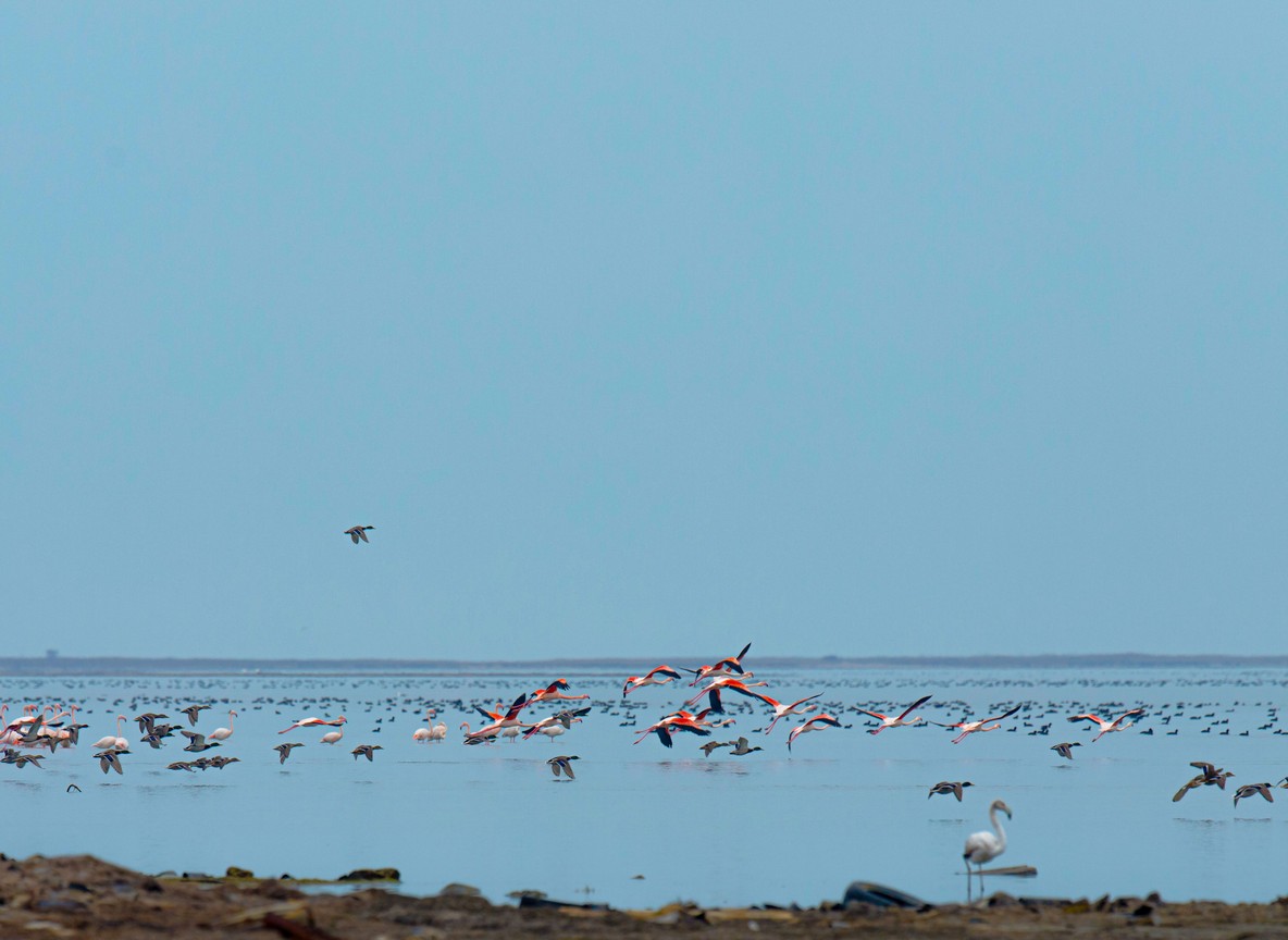 Dirt access road winding toward Lake Bogoria National Reserve gate with the Siracho escarpment visible in the distance