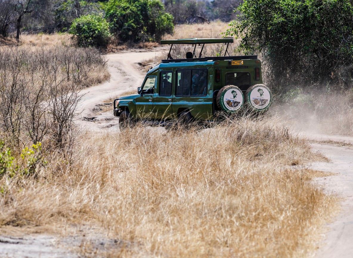 Safari guide vehicle on a dirt track through the Masai Mara conservancy corridor