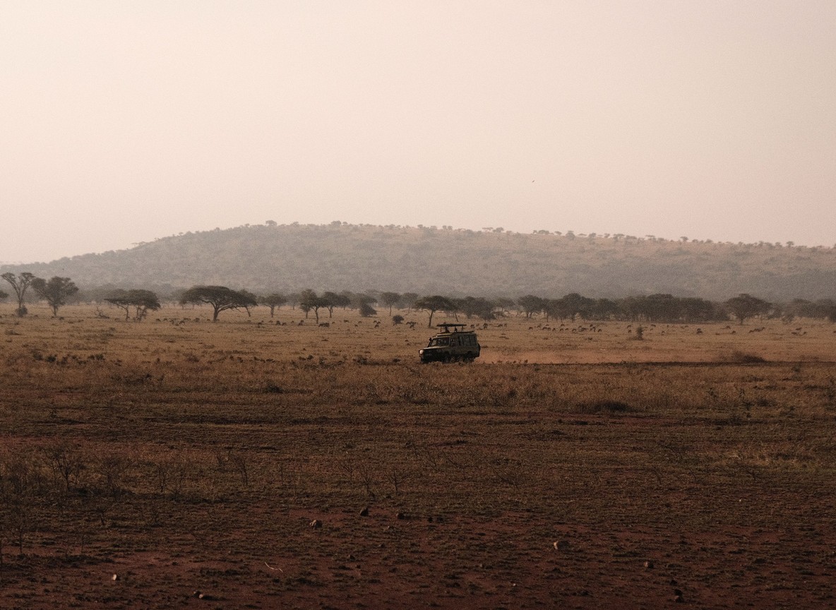 Safari vehicle with guests photographing a leopard resting on a fallen tree branch in the Masai Mara