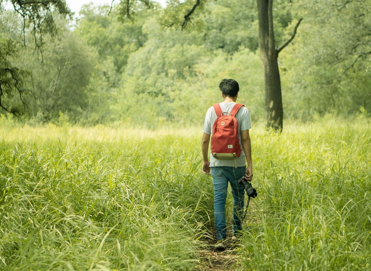 A park ranger walking a forest trail with binoculars in East African wilderness