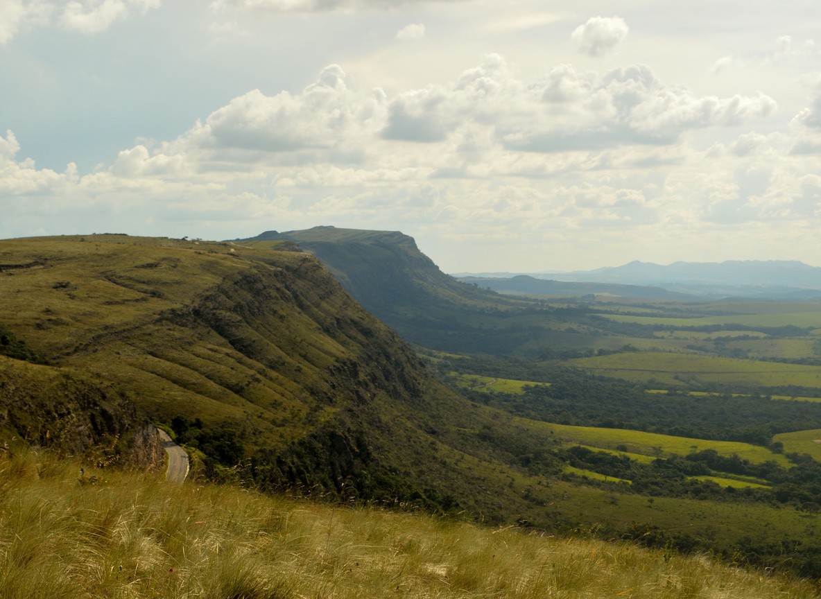 Mountain Bongo Kenya