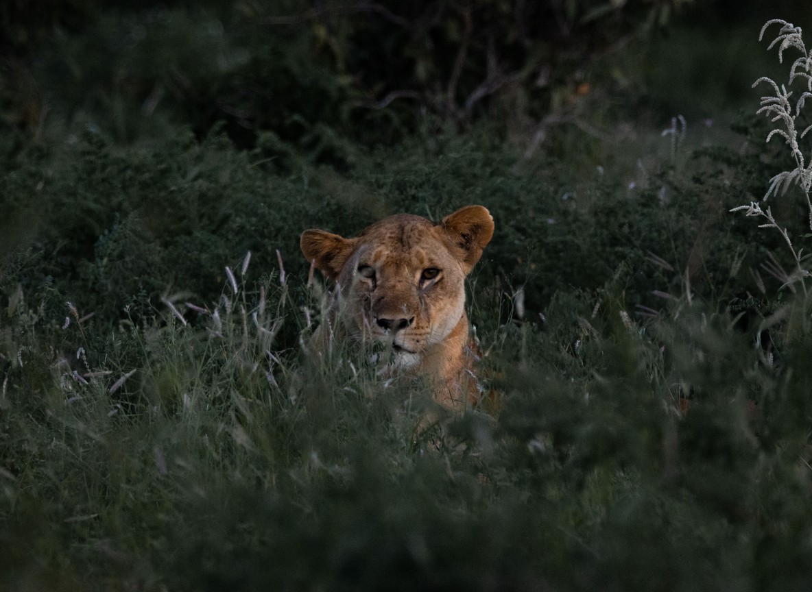 Lugard Falls on the Galana River in Tsavo East, a highlight of a rail-and-safari route