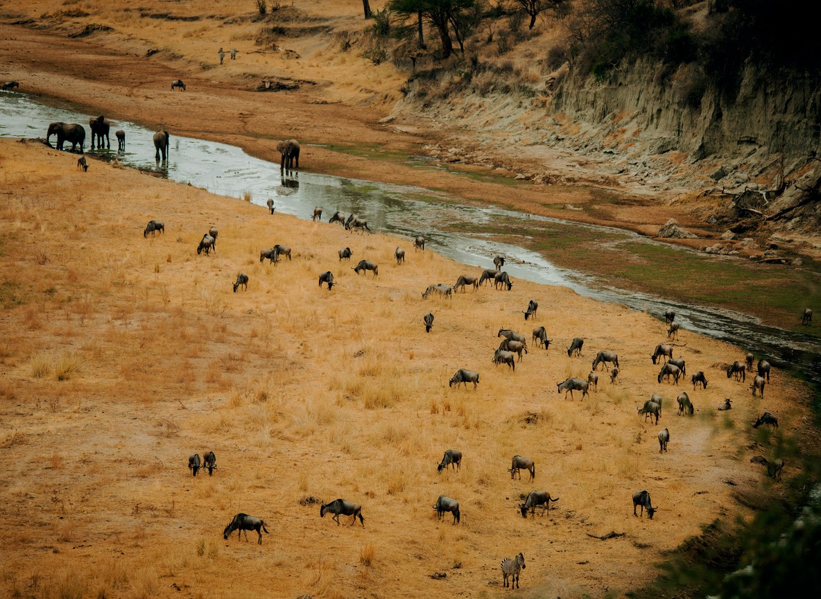 Talek River Masai Mara