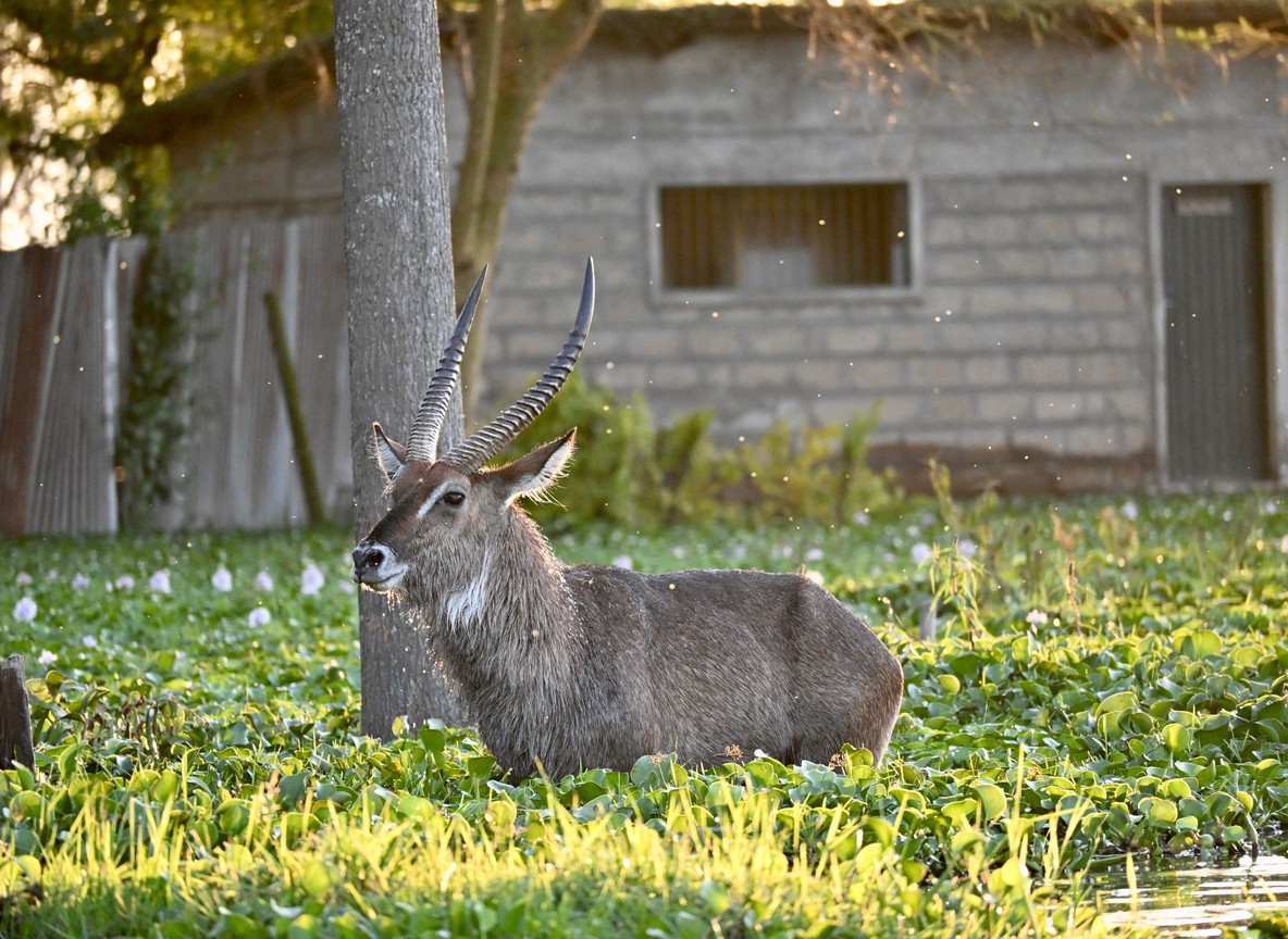 Photography Hides Kenya