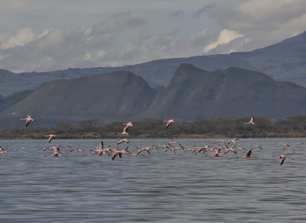 Lake Nakuru National Park