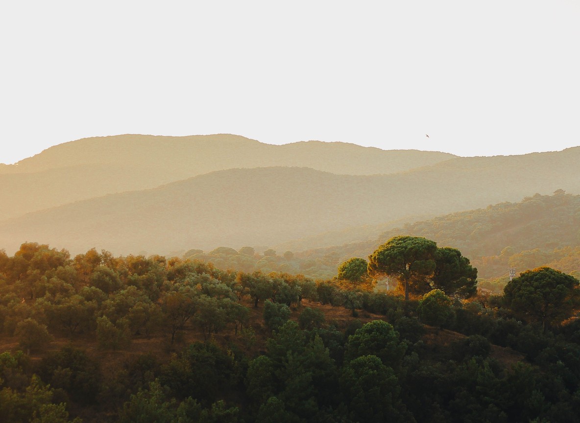 Sunrise over the rolling hills of Laikipia conservancy in Kenya