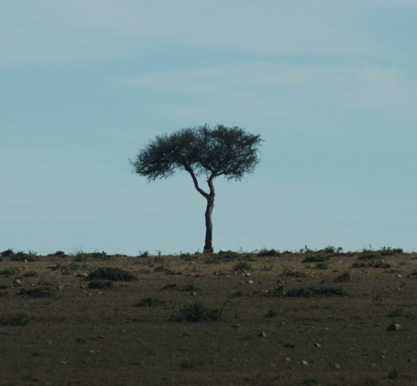 Laikipia Kenya safari package cost view of Suyian Conservancy grassland at golden hour with Mount Kenya on the horizon