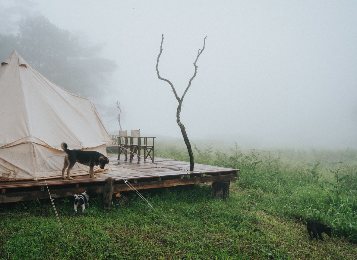 A tented camp deck overlooking Lake Naivasha at sunset