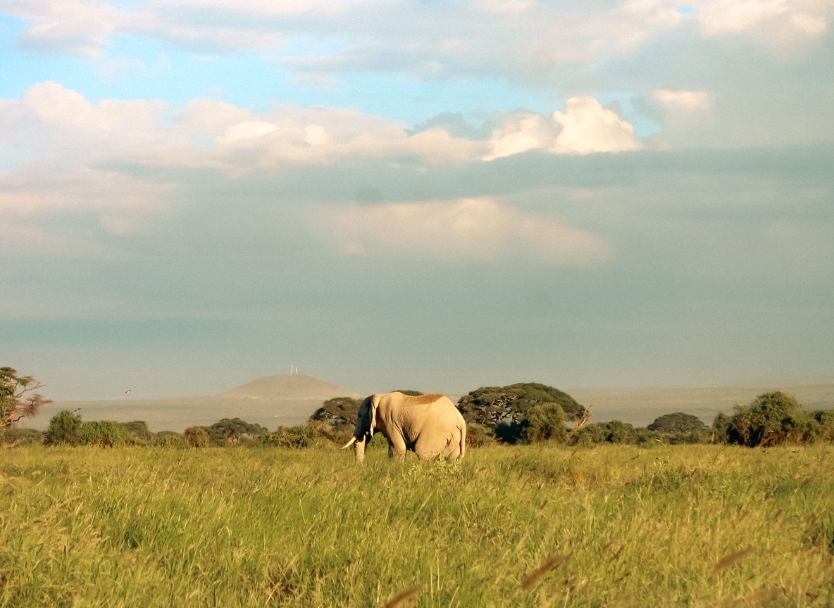 Luxury tented camp deck overlooking a waterhole with elephants in Tsavo, Kenya