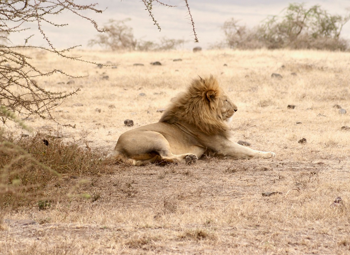 in Tsavo, Kenya