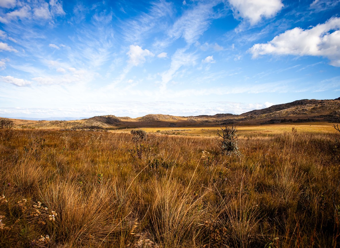 Wide red Tsavo plains stretching under a dramatic sky