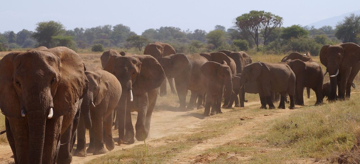 Kenya