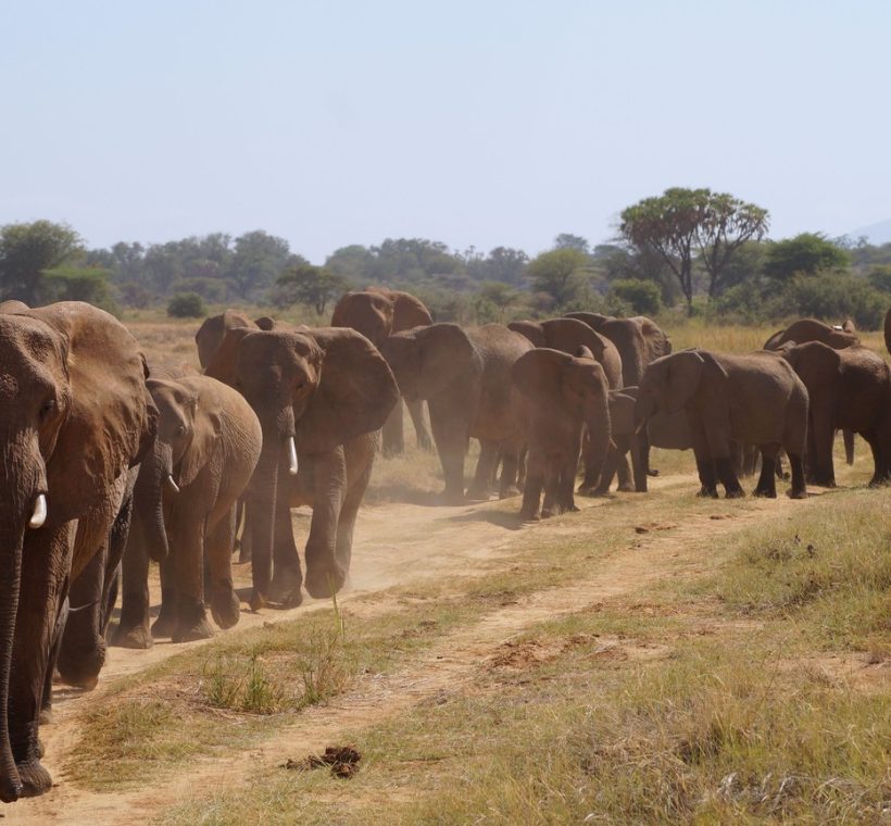 Kenya