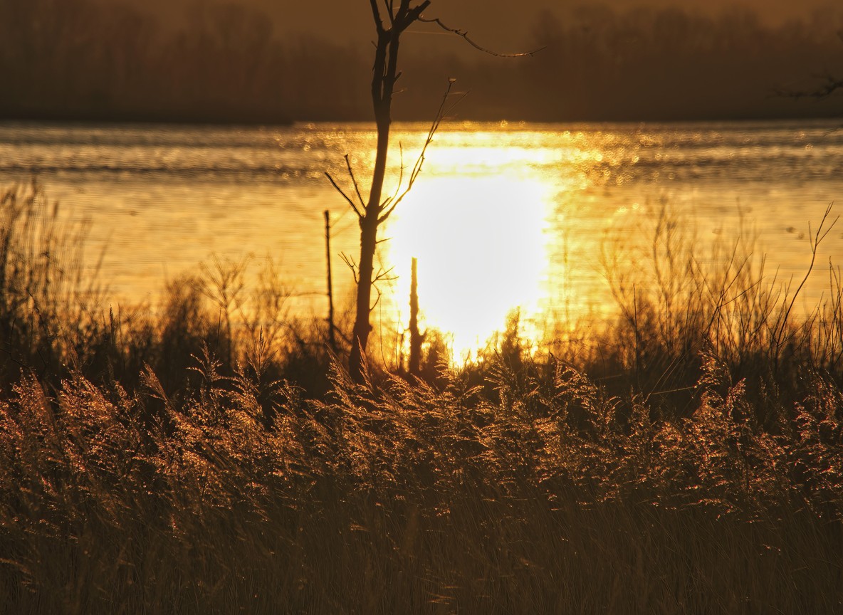 Acacia-fringed Lake Naivasha shoreline at golden hour in Kenya