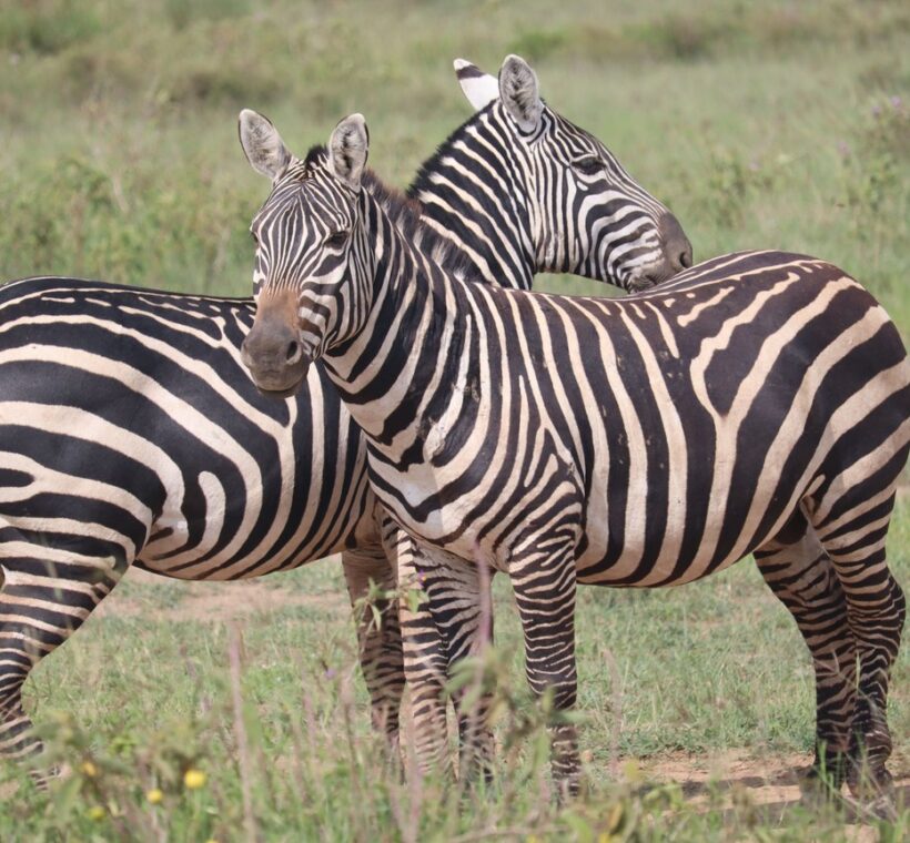 Kenya
