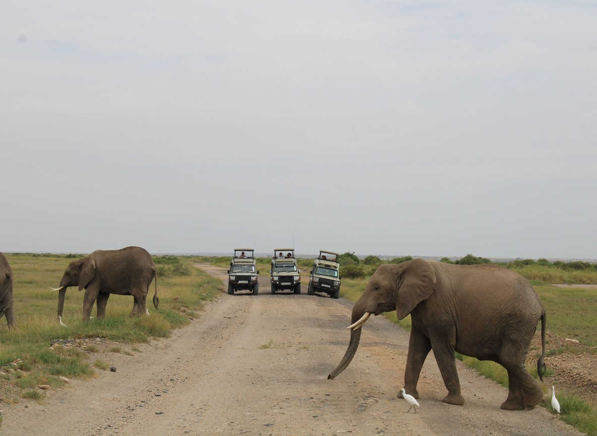 Laikipia
