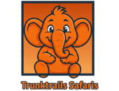 Trunk Trails Safaris